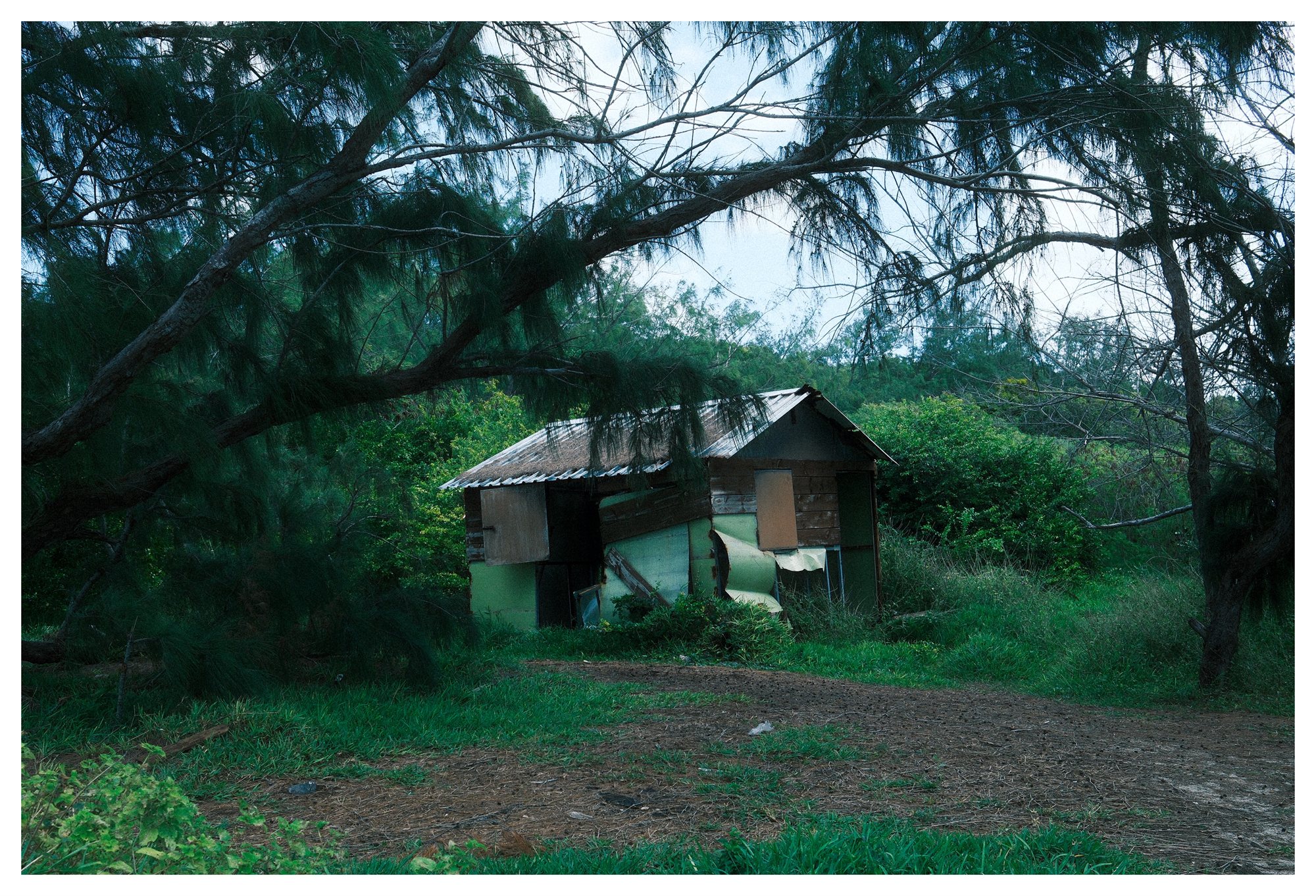 Mauritius, a small wooden shack sheltered in the trees