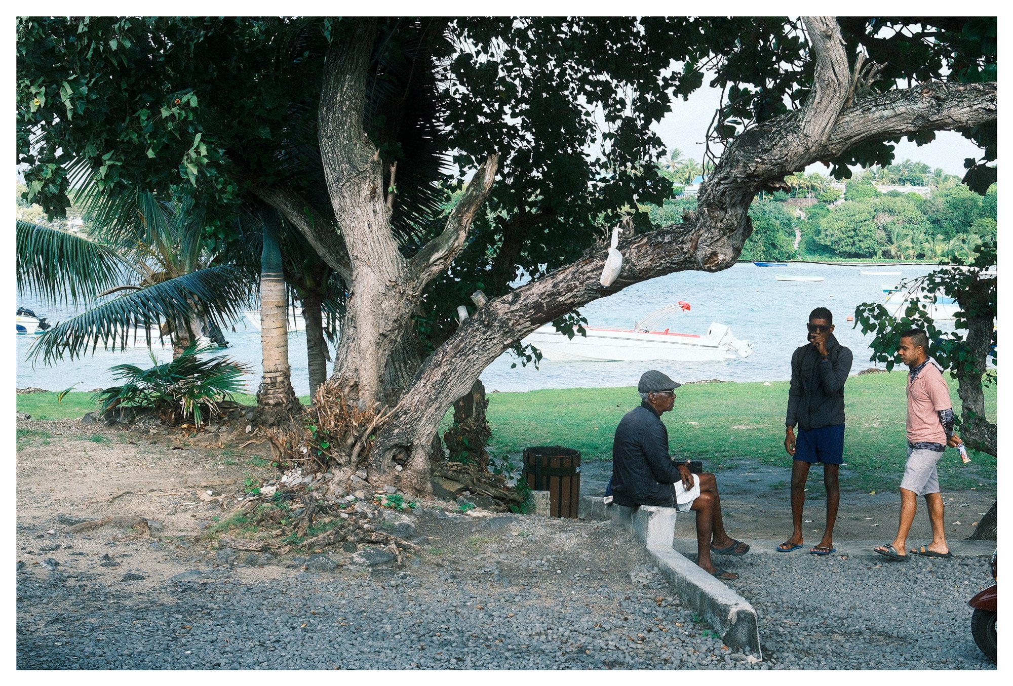 Mauritius, a quiet afternoon by the harbour under a leaning tree
