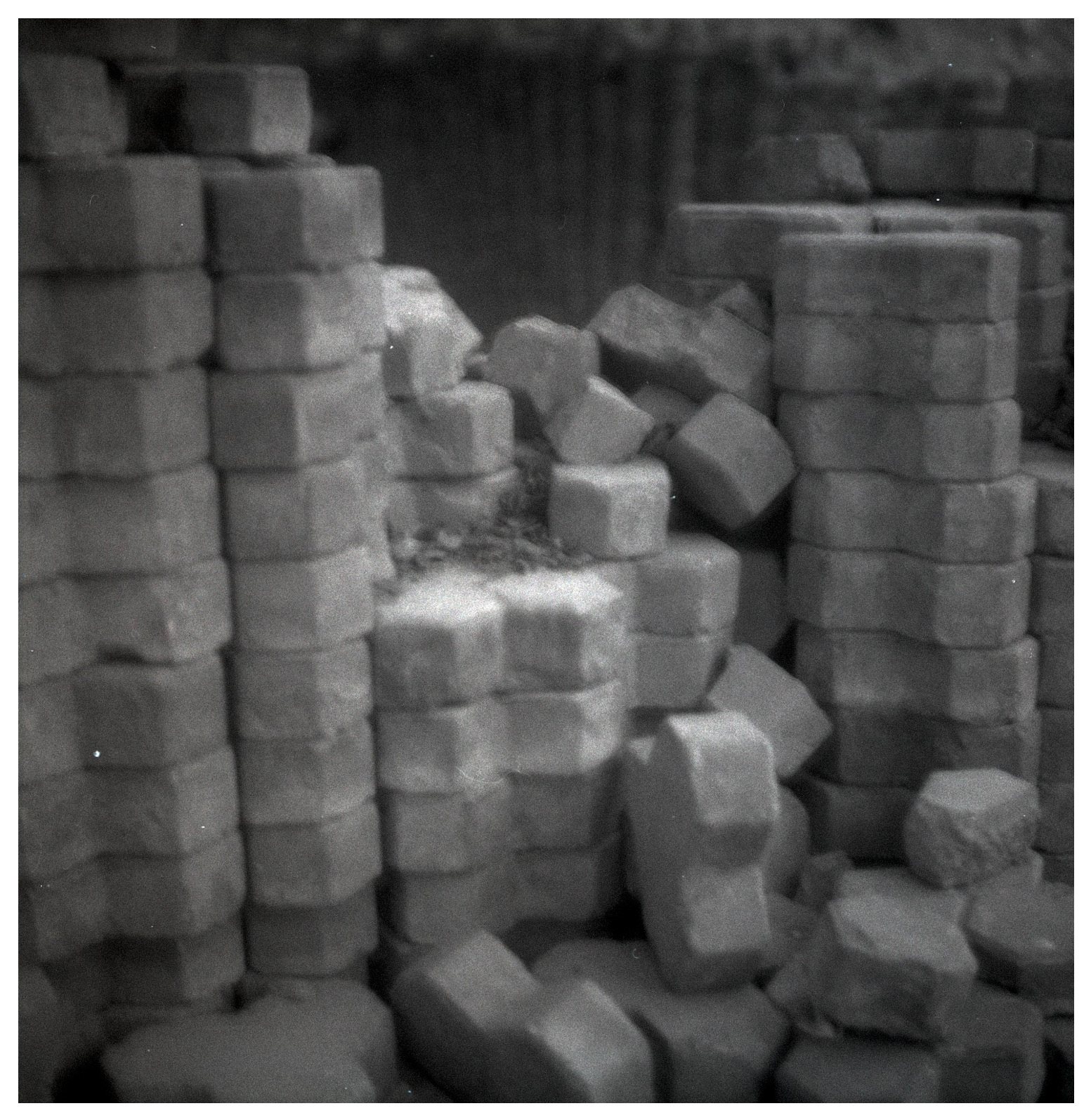 Pieces of a Familiar Place, stacked bricks forming a low wall beneath a tree