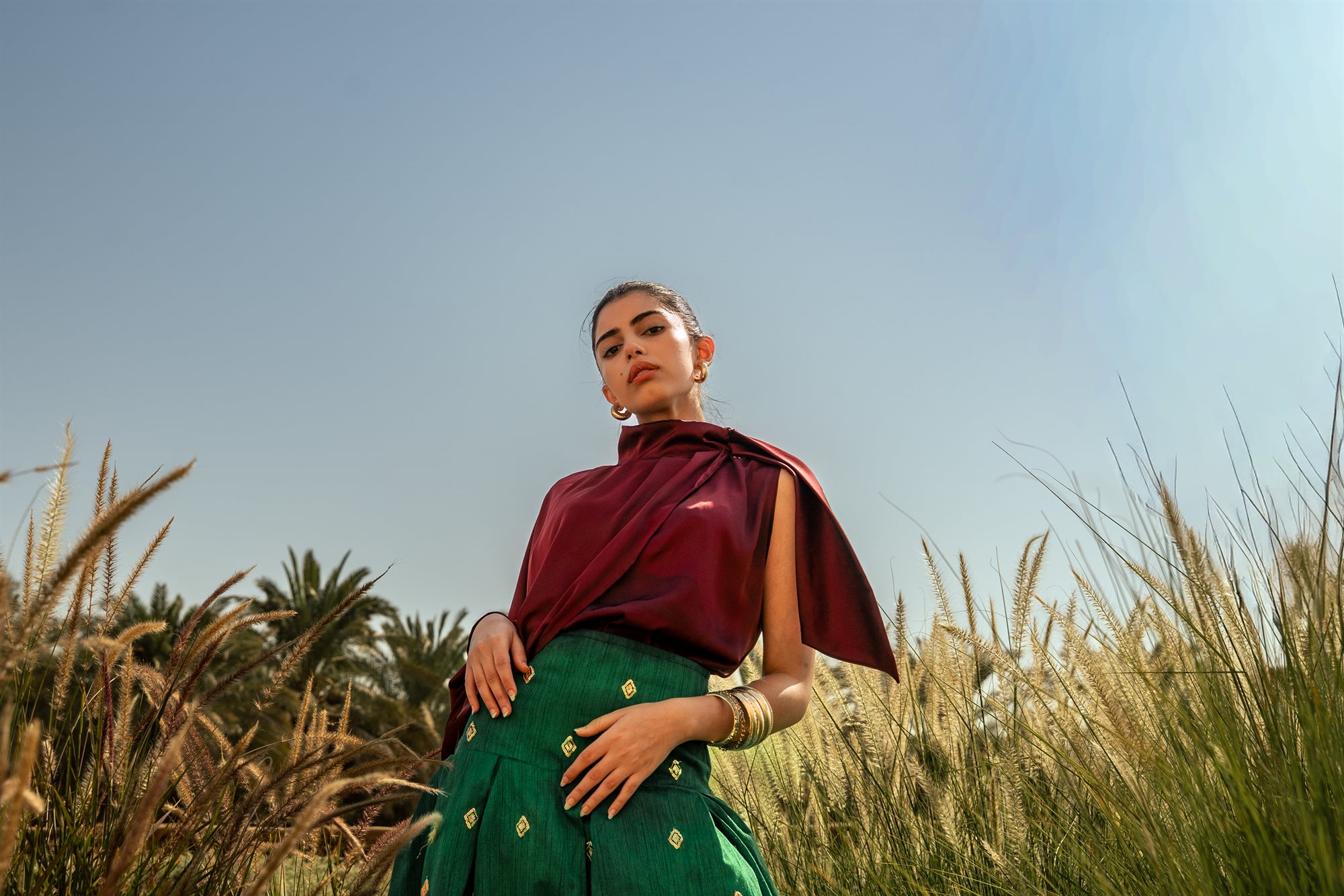 Saudi National Day, low angle in tall grass